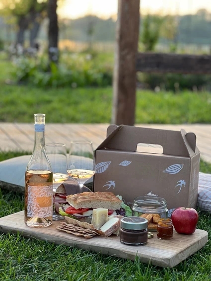 Picknick im Weinberg eines renommierten Wein Resortes am Gardasee 0